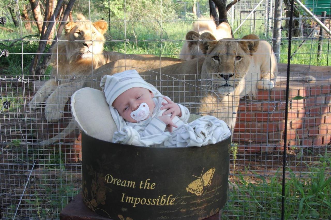 Lephalale Simba Safaris African Pride Exotic Lodge المظهر الخارجي الصورة