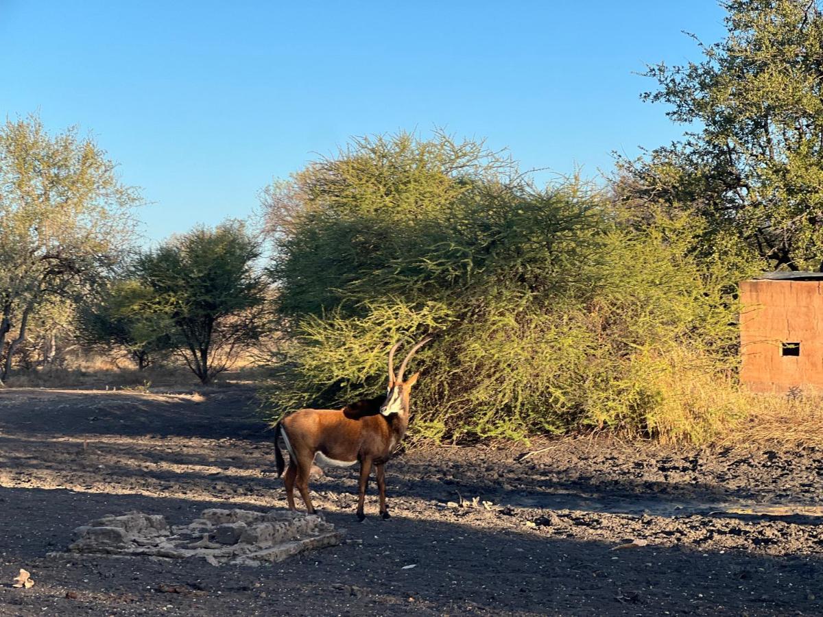 Lephalale Simba Safaris African Pride Exotic Lodge المظهر الخارجي الصورة