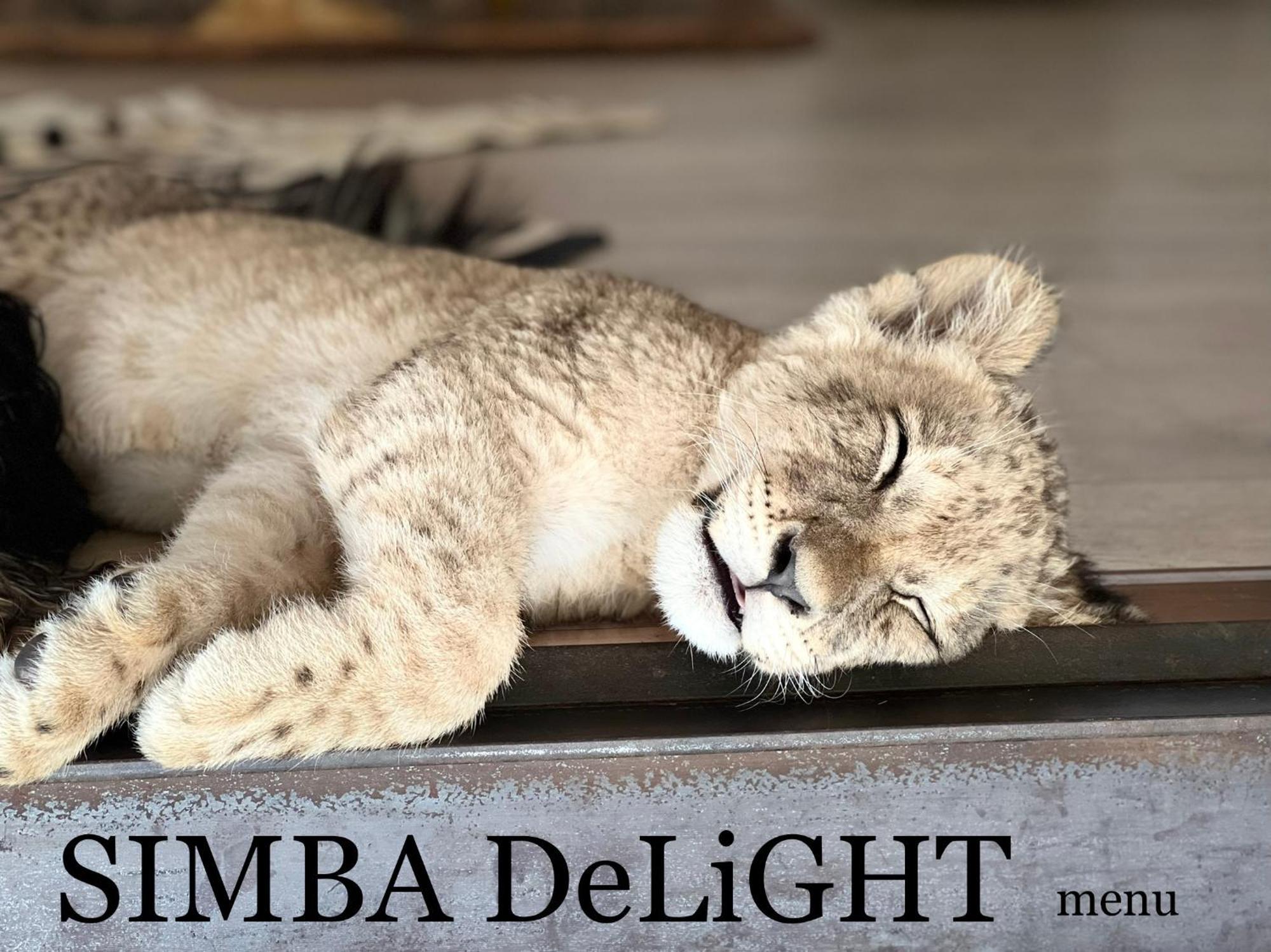 Lephalale Simba Safaris African Pride Exotic Lodge المظهر الخارجي الصورة