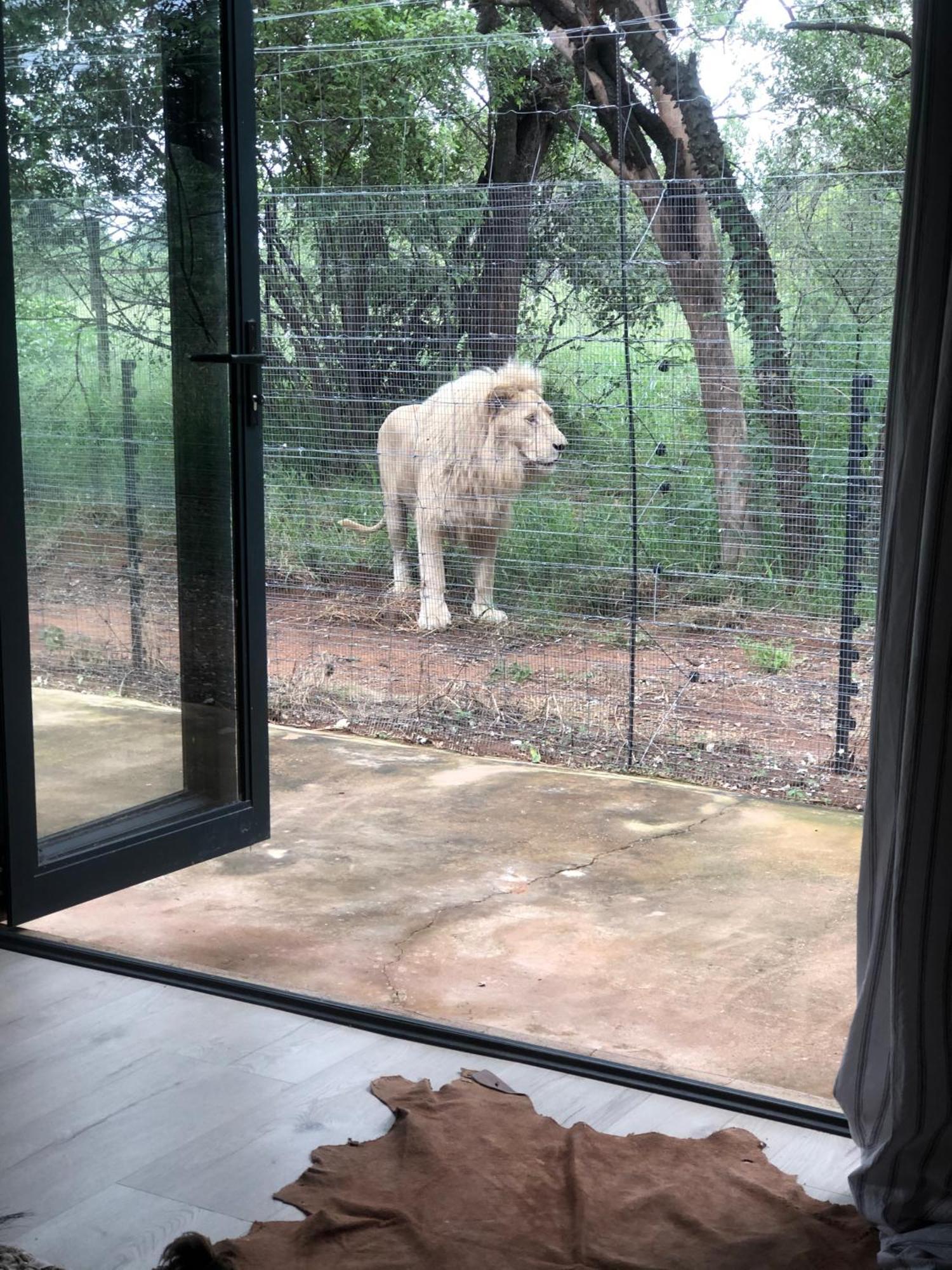 Lephalale Simba Safaris African Pride Exotic Lodge المظهر الخارجي الصورة