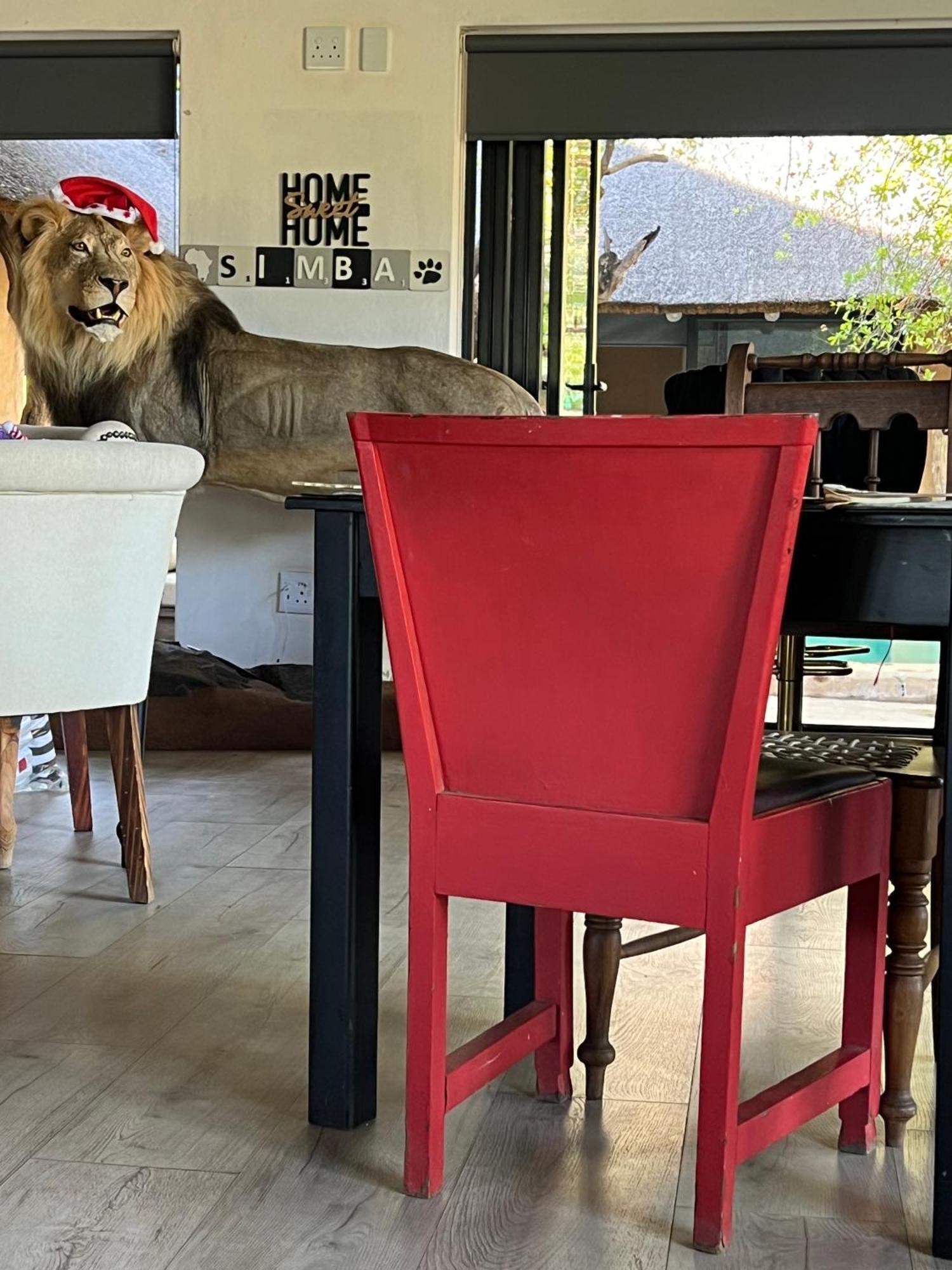 Lephalale Simba Safaris African Pride Exotic Lodge المظهر الخارجي الصورة