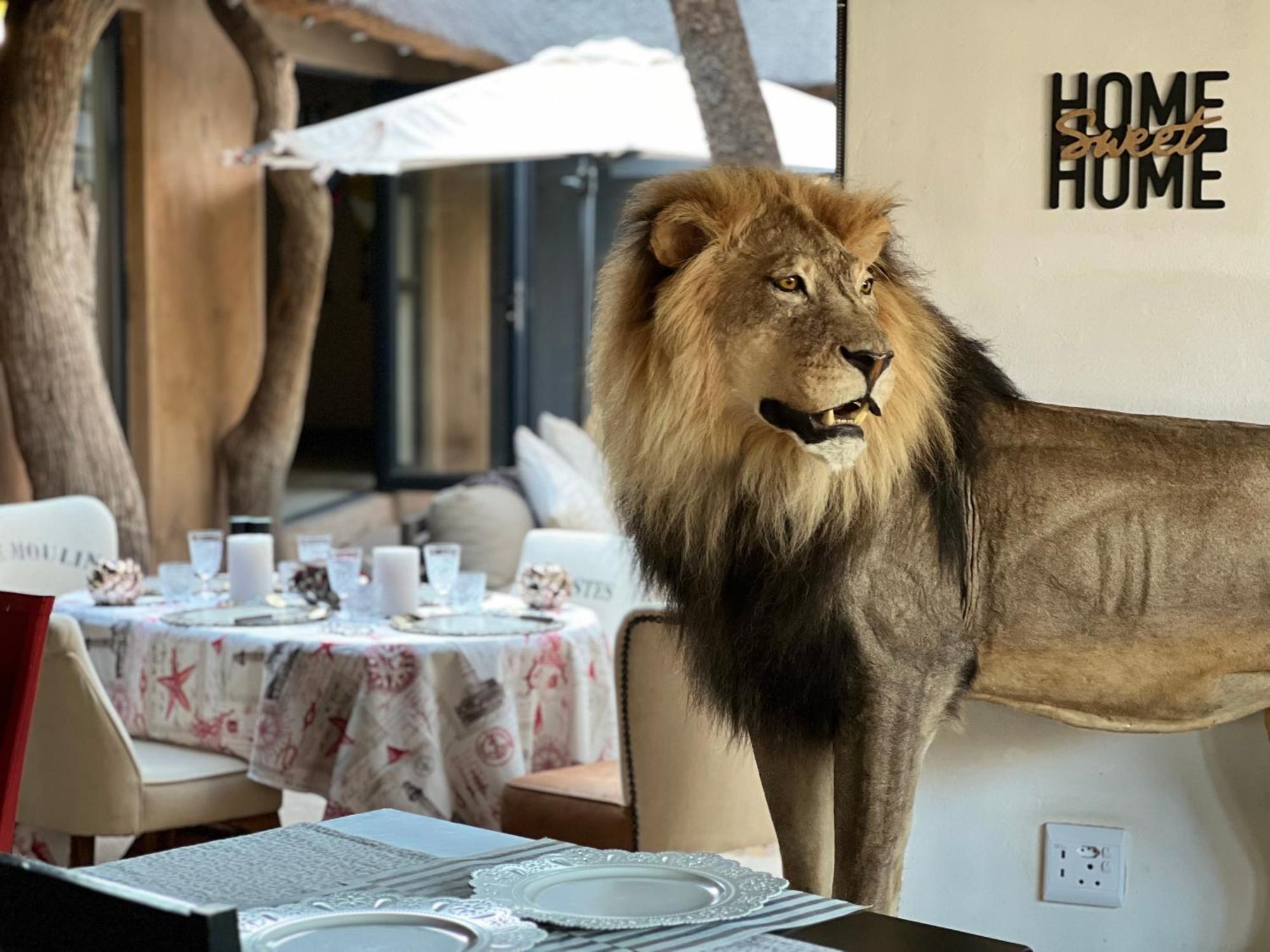 Lephalale Simba Safaris African Pride Exotic Lodge المظهر الخارجي الصورة